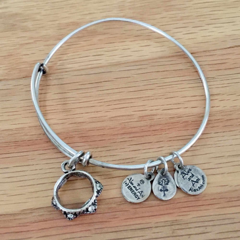 Alex and Ani Silver Crown Bracelet